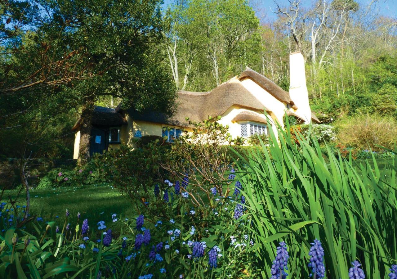 Southcliffe B&B Lynton Eksteriør bilde